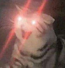 ]AM~MRJ8J~[M3}SKA8U1Z77.png